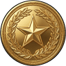 Domain Champion Medal Badge